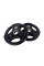 Блин PowerGym 10кг