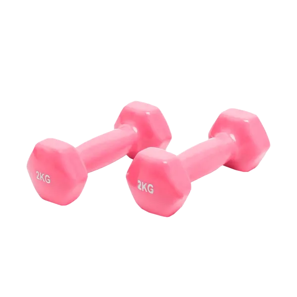 Vinil gantel 2 kg