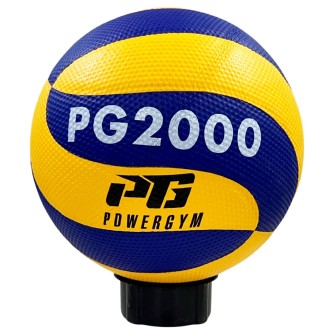 Волейбольный Мяч PG2000