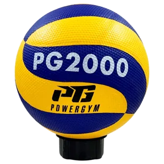 Волейбольный Мяч PG2000