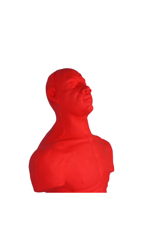 Boks uchun suv quyiladigan maneken